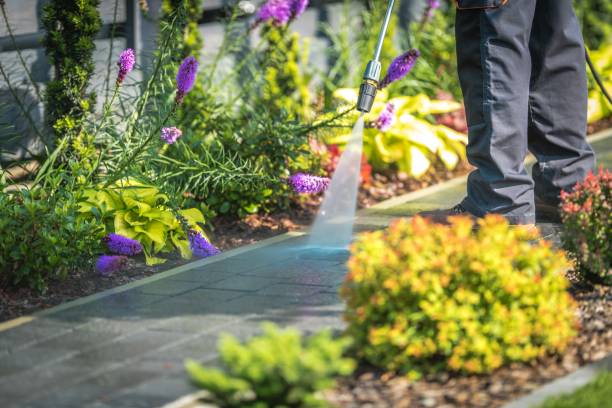 Best Commercial Pressure Washing in Collinsville, MS