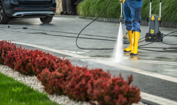 Best Driveway Cleaning and Restoration in Collinsville, MS