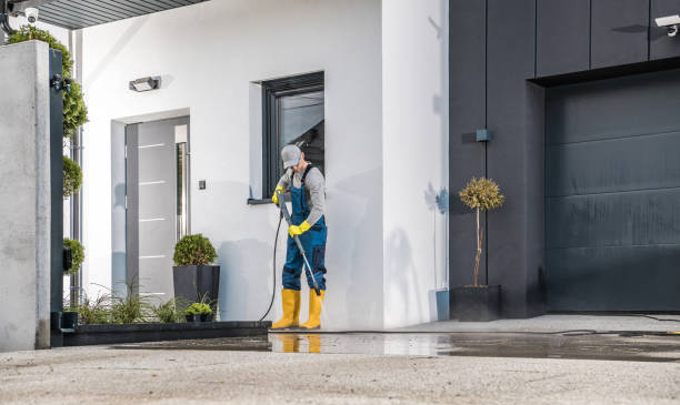 Best Roof Cleaning and Mildew Removal in Collinsville, MS